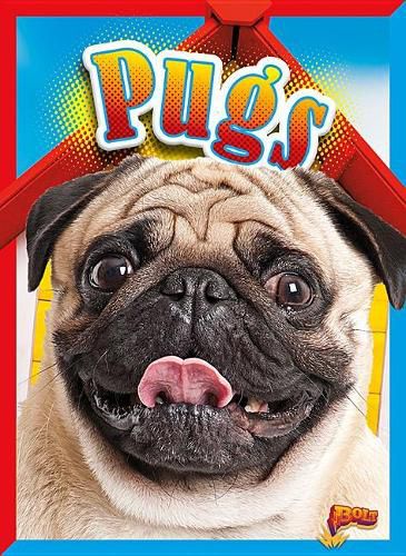 Cover image for Pugs