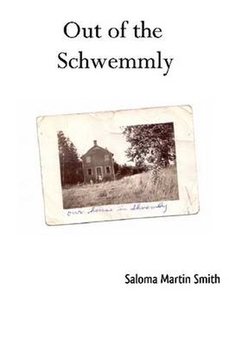Cover image for Out of the Schwemmly