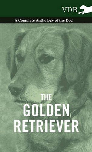 Cover image for The Golden Retriever - A Complete Anthology of the Dog