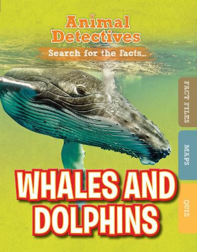 Cover image for Whales and Dolphins