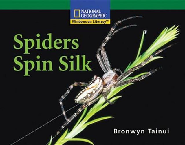 Cover image for Spiders Spin Silk