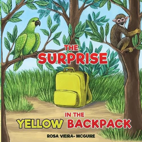 Cover image for The Surprise in the Yellow Backpack