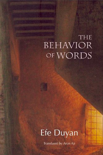 Cover image for The Behavior of Words