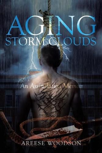 Cover image for Aging Storm Clouds: An Assimilation Memoir