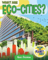 Cover image for What Are Eco-Cities?