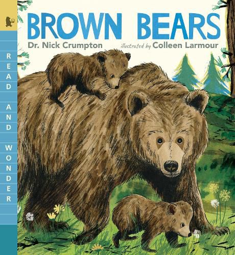 Cover image for Brown Bears