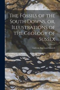 Cover image for The Fossils of the South Downs, or, Illustrations of the Geology of Sussex