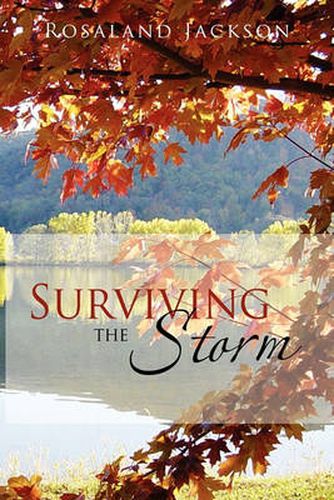 Cover image for Surviving the Storm