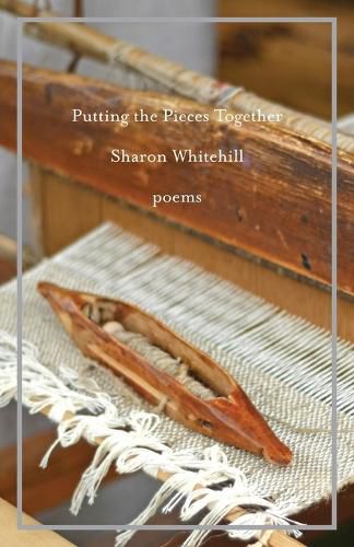 Cover image for Putting the Pieces Together