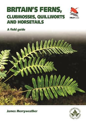 Britain's Ferns: A Field Guide to the Clubmosses, Quillworts, Horsetails and Ferns of Great Britain and Ireland