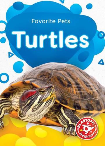 Cover image for Turtles