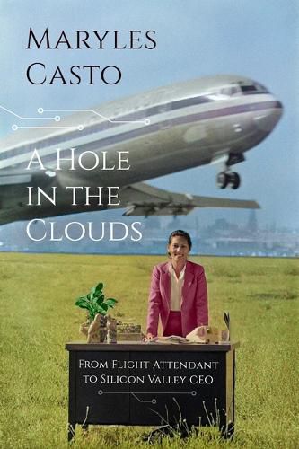 Cover image for A Hole In The Clouds: From Flight Attendant to Silicon Valley CEO