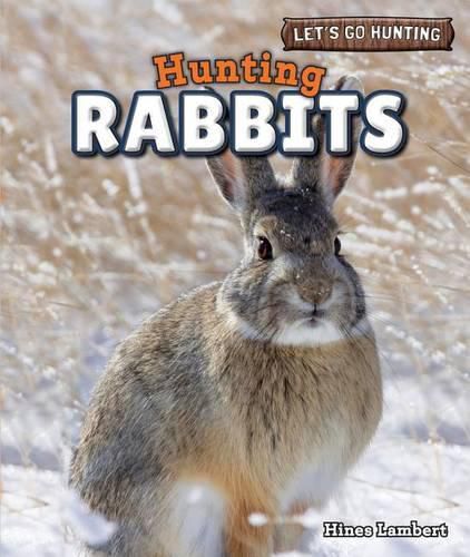 Cover image for Hunting Rabbits