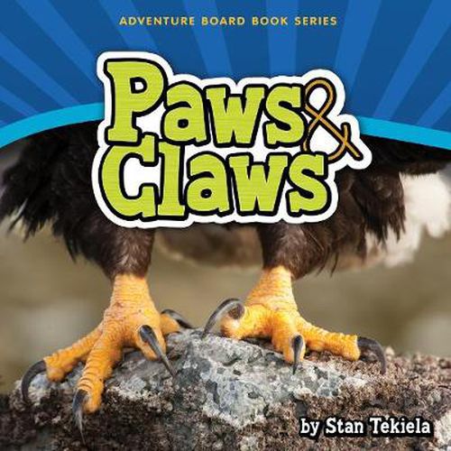 Cover image for Paws & Claws