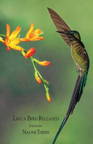 Cover image for Like a Bird Released