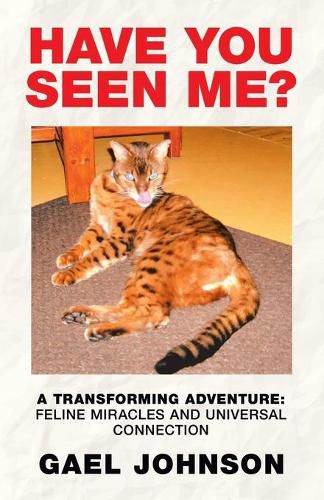 Cover image for Have You Seen Me?: A Transforming Adventure: Feline Miracles and Universal Connection
