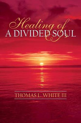 Cover image for Healing of a Divided Soul