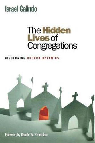 Cover image for The Hidden Lives of Congregations: Discerning Church Dynamics