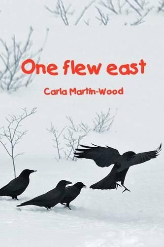 Cover image for One Flew East