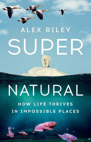 Cover image for Super Natural
