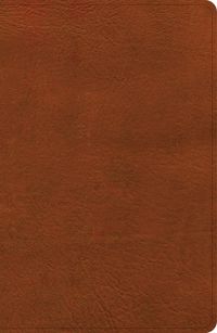 Cover image for CSB Large Print Personal Size Reference Bible, Digital Study Edition, Burnt Sienna Leathertouch