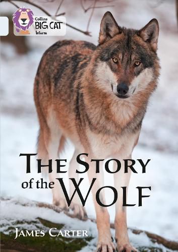 Cover image for The Story of the Wolf: Band 17/Diamond