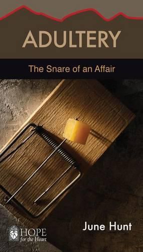 Cover image for Adultery: The Snare of an Affair