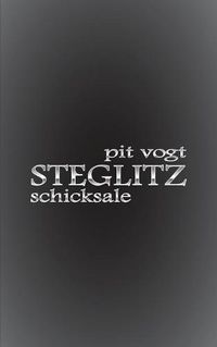 Cover image for Steglitz: Schicksale