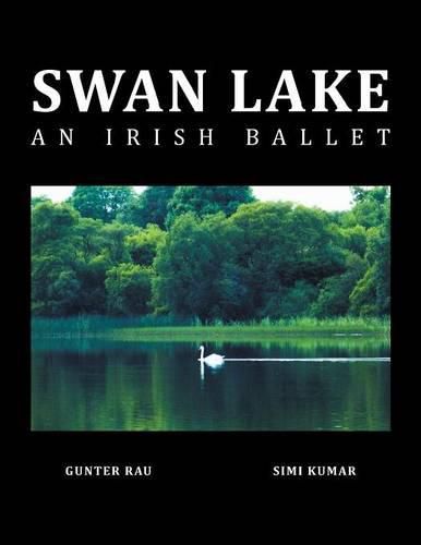 Cover image for Swan Lake