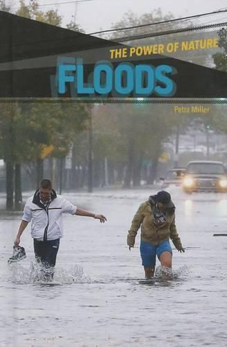 Cover image for Floods