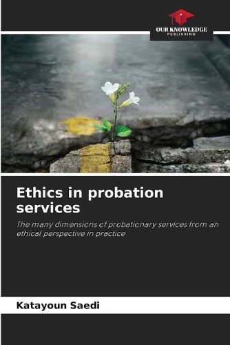 Cover image for Ethics in probation services