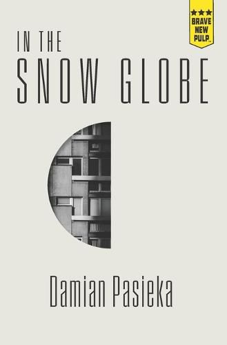 Cover image for In the Snow Globe