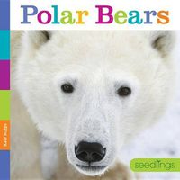 Cover image for Seedlings Polar Bears