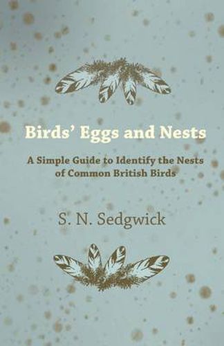 Cover image for Birds' Eggs and Nests - A Simple Guide to Identify the Nests of Common British Birds