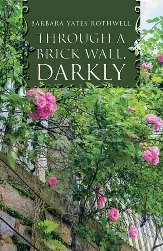 Cover image for Through a Brick Wall, Darkly