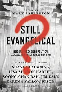 Cover image for Still Evangelical? - Insiders Reconsider Political, Social, and Theological Meaning