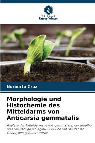 Cover image for Morphologie und Histochemie des Mitteldarms von Anticarsia gemmatalis