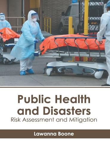 Cover image for Public Health and Disasters: Risk Assessment and Mitigation