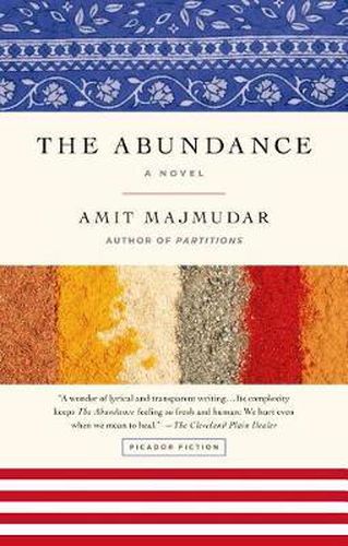 Cover image for Abundance