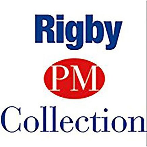 Cover image for Rigby PM Collection: Teacher's Guide Nonfiction Purple (Levels 19-20) 1999