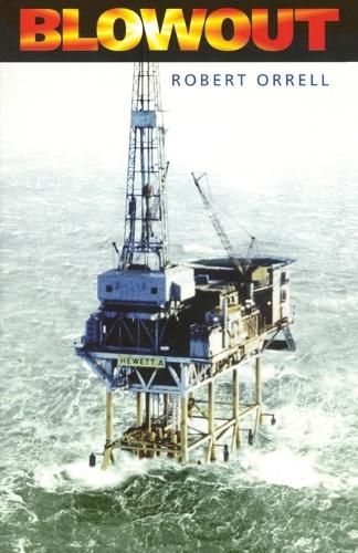 Cover image for Blowout