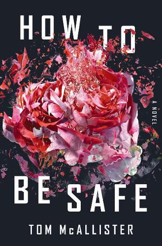 Cover image for How to Be Safe: A Novel