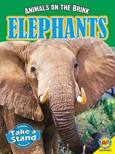 Cover image for Elephants