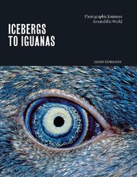 Cover image for Icebergs to Iguanas