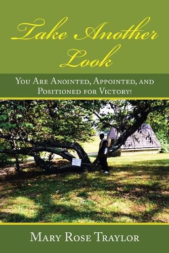 Cover image for Take Another Look: You Are Anointed, Appointed, and Positioned for Victory!