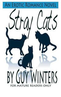 Cover image for Stray Cats