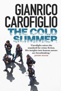 Cover image for The Cold Summer