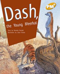 Cover image for Dash, the Young Meerkat