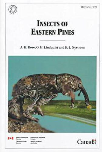 Cover image for Insects of Eastern Pines