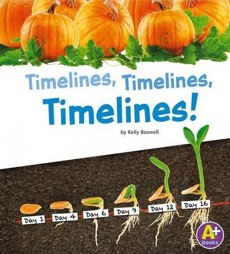 Cover image for Timelines, Timelines, Timelines (Displaying Information)